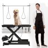 electric pet grooming table, 110V/220V professional groomer recommend super Deluxe electric pet grooming table