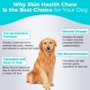 Skin Health Chew for Dogs Supports Coat and Skin